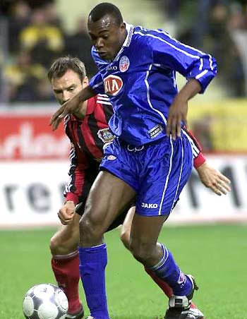 吉林九台农 吉林九台农